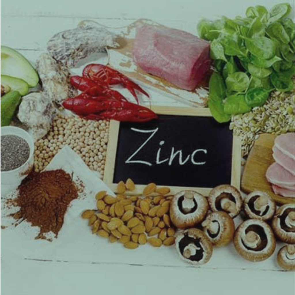 Food that have Zinc