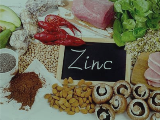 Food that have Zinc